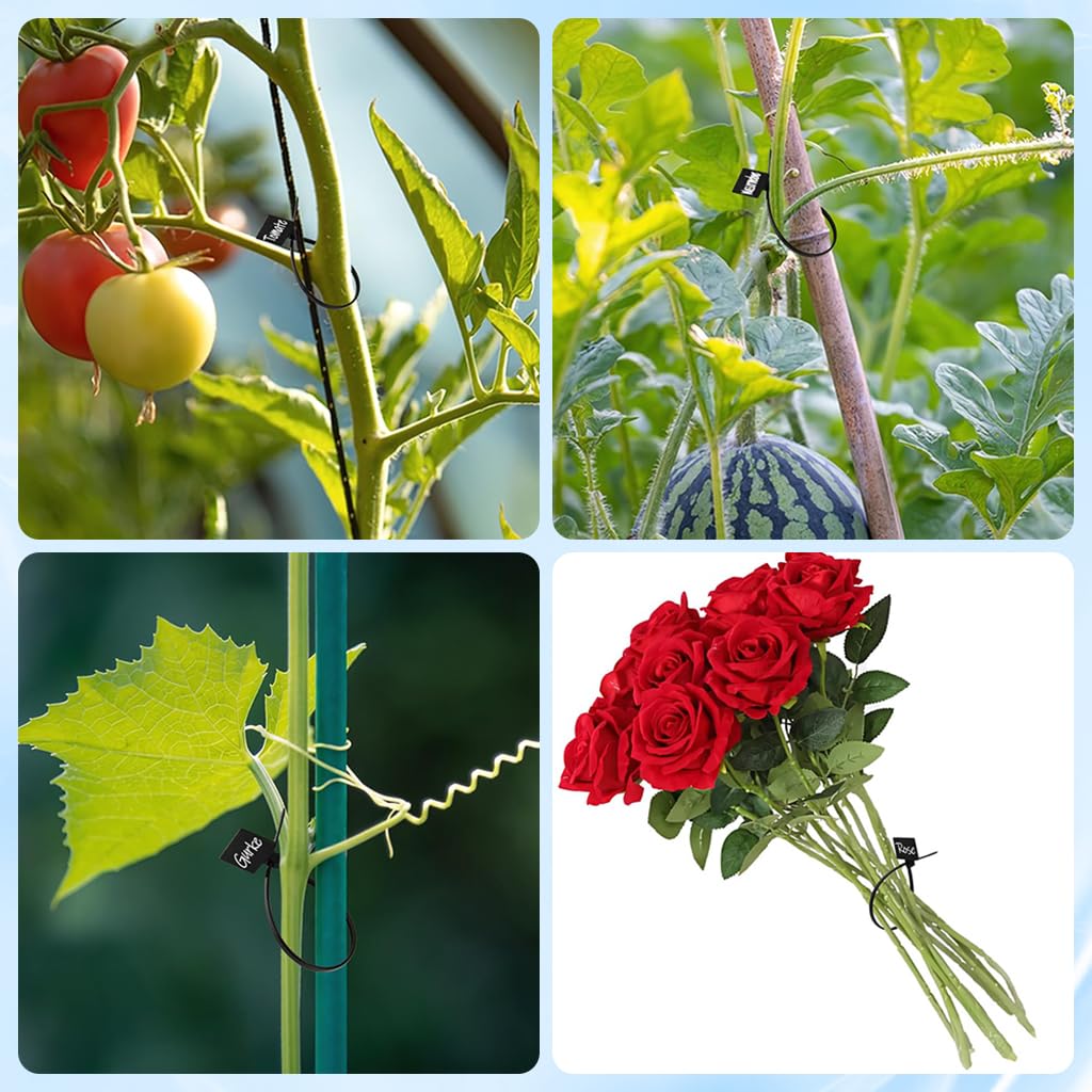 HASTHIP 250Pcs Gardening Plant Ties with Writable Name Tag 5.9 Inches Plant Ties Reuseable Nylon Cable Ties Utility Adjustable Plant Ties, with Label Stickers & Pen HASTHIP 250Pcs Gardening Plant Ties with Writable Name Tag 5.9 Inches Plant Ties Reuseable Nylon Cable Ties Utility Adjustable Plant Ties, with Label Stickers & Pen